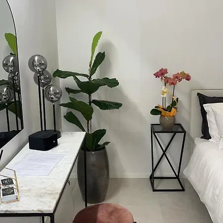 Apartment Immobiliare Nk Palazzo Bonvicini *
